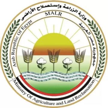 الزراعة تعلن طفرة في صادراتنا من الخيول إلى الأسواق الأوروبية والعربية الزراعة تعلن طفرة في صادراتنا من الخيول إلى الأسواق الأوروبية والعربية