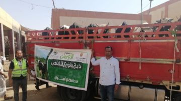 جمعية الأورمان تستعد لنحر 2000 عجل بلدى خلال أيام التشريق جمعية الأورمان تستعد لنحر 2000 عجل بلدى خلال أيام التشريق