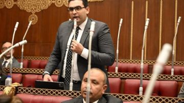 نائب بالشيوخ: مشروع قانون لإلزام المباني الجديدة بالطاقة الشمسية خطوة مهمة لدعم رؤية مصر 2030