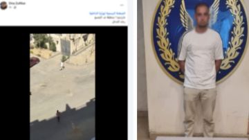 القبض على شخص ضرب كلبا حتى الموت بالتجمع القبض على شخص ضرب كلبا حتى الموت بالتجمع