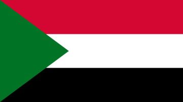 الجيش السوداني يسقط مسيرة في ولاية شمال كردفان