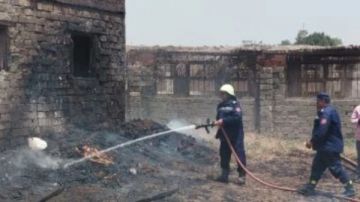 نفوق 7 رءوس ماشية في حريق حظيرة في العدوة بالمنيا نفوق 7 رءوس ماشية في حريق حظيرة في العدوة بالمنيا