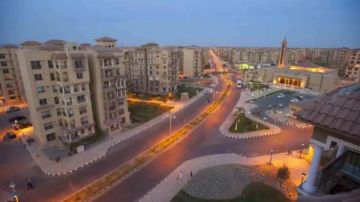 منع إطعام الكلاب والقطط داخل مدينتي.. وعقوبات للمخالفين