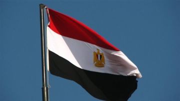 مصر تدين الهجوم الإرهابي في باكستان مصر تدين الهجوم الإرهابي في باكستان