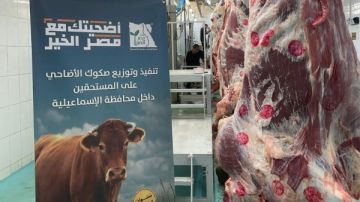 استمرار توزيع لحوم الأضاحي على الأسر الأولى بالرعاية بالإسماعيلية لليوم الرابع استمرار توزيع لحوم الأضاحي على الأسر الأولى بالرعاية بالإسماعيلية لليوم الرابع