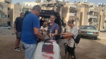 ضبط وتعقيم 19 كلبا ضالا ضمن خطة القضاء على السعار بالغردقة ضبط وتعقيم 19 كلبا ضالا ضمن خطة القضاء على السعار بالغردقة