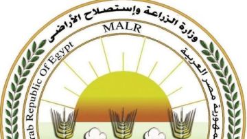 اعتماد دولي جديد لمصر.. تجديد خلو الخيول المصرية من طاعون الخيل الأفريقي اعتماد دولي جديد لمصر.. تجديد خلو الخيول المصرية من طاعون الخيل الأفريقي