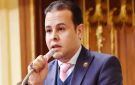 برلماني : توجه الدولة لتوطين صناعة السيارات خطوة استراتيجية تعزز الاقتصاد