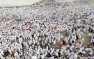 عضو غرفة شركات السياحة: تطبيق رفيق نقلة نوعية لخدمة الحجاج المصريين - eg
