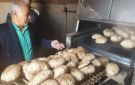 ضبط 6 أصحاب مخابز استولوا على 43 جوال دقيق بلدى بالغربية