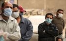 مستشار الرئيس: لم يتم رصد أي إصابات بفيروس هانتا في مصر