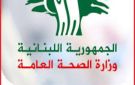 سقوط شهيدة و7 مصابين في غارة إسرائيلية على عين بعال جنوب لبنان