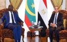 وزير الخارجية يتسلم رسالة خطية موجهة إلى الرئيس السيسى من نظيره الموريتانى