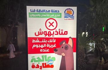 تطعيم الكلاب الضالة وانطلاق حملة شارع آمن للإنسان والحيوان فى قنا صور تطعيم الكلاب الضالة وانطلاق حملة شارع آمن للإنسان والحيوان فى قنا صور