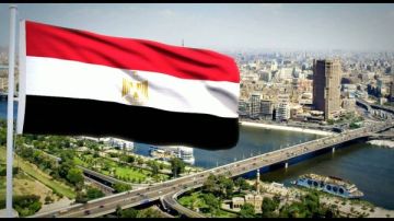 هل الدفاع عن الوطن بالكلمة نؤجر عليه؟.. أمين الفتوى يجيب هل الدفاع عن الوطن بالكلمة نؤجر عليه؟.. أمين الفتوى يجيب