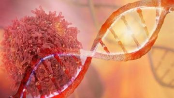 نوع خضار رخيص يحمي من السرطان نوع خضار رخيص يحمي من السرطان