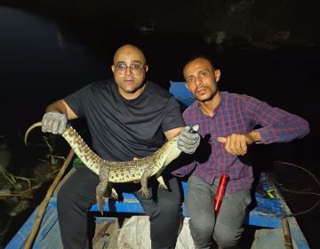 ننشر تفاصيل اصطياد تمساح نيلي بمصرف الحصافة بالقليوبية ننشر تفاصيل اصطياد تمساح نيلي بمصرف الحصافة بالقليوبية