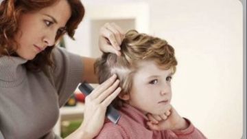 طرق التخلص من القمل.. خطوات فعالة للقضاء عليه ومنع عودته طرق التخلص من القمل.. خطوات فعالة للقضاء عليه ومنع عودته
