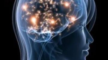 دليلك لكافة أنواع الهرمونات التي تدير وظائف الجسم دليلك لكافة أنواع الهرمونات التي تدير وظائف الجسم
