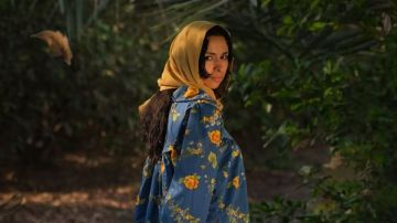 القومي للسينما يعرض 4 أفلام بمركز الهناجر اليوم القومي للسينما يعرض 4 أفلام بمركز الهناجر اليوم