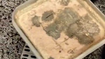 ضبط 1.5 طن جبن فاسد داخل مول شهير بالعبور ضبط 1.5 طن جبن فاسد داخل مول شهير بالعبور
