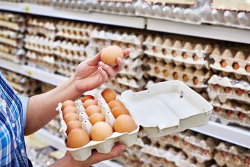 تخفيض سعر البيض بالمنافذ التموينية لـ85 جنيها للطبق تخفيض سعر البيض بالمنافذ التموينية لـ85 جنيها للطبق