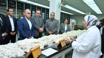 وزير الاستثمار: المرحلة المقبلة تتطلب تسريع جهود التطوير المؤسسي وزير الاستثمار: المرحلة المقبلة تتطلب تسريع جهود التطوير المؤسسي