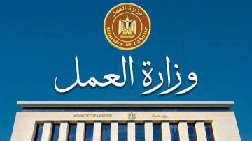 85 فرصة عمل بالإسماعيلية.. رابط للتقديم 85 فرصة عمل بالإسماعيلية.. رابط للتقديم