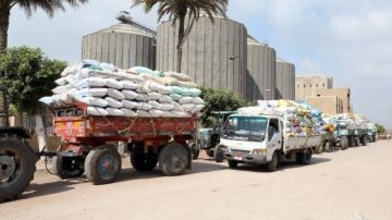 استمرار انتظام أعمال توريد القمح ببني سويف استمرار انتظام أعمال توريد القمح ببني سويف