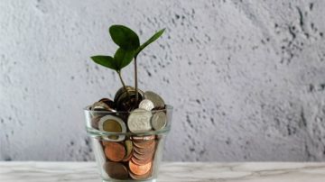 ما قيمة زكاة الزرع الـمسقي بالطاقة الشمسية؟.. دار الإفتاء تجيب