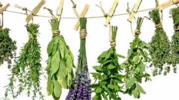 لو عندك غازات .. 7 أعشاب تمحوها تعرف عليها لو عندك غازات .. 7 أعشاب تمحوها تعرف عليها