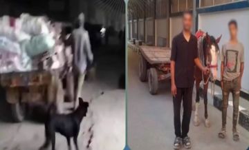 ضبط ثنائي الكارو في المرج بعد إلقاء المخلفات بالشوارع ضبط ثنائي الكارو في المرج بعد إلقاء المخلفات بالشوارع