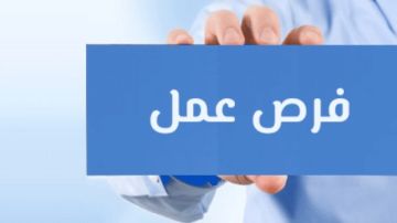 1130 دولارا مرتب الحكومة تعلن عن 48 فرصة عمل بالخارج.. شروط ورابط التقديم 1130 دولارا مرتب الحكومة تعلن عن 48 فرصة عمل بالخارج.. شروط ورابط التقديم