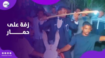 على ظهر حمار .. عريس يثير الجدل بزفة غير تقليدية على ظهر حمار .. عريس يثير الجدل بزفة غير تقليدية