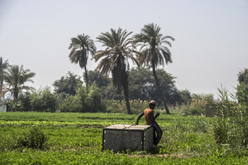 أوقاف مصر تتعهد بحل جذري لقضية أملاك الأمير العثماني أوقاف مصر تتعهد بحل جذري لقضية أملاك الأمير العثماني