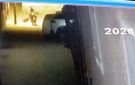 مصر.. تعرض 14 شخصا لهجوم من كلب يشتبه بإصابته بالسعار (فيديو)