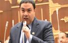 النائب إسماعيل الشرقاوي: سنظل معارضة وطنية مسؤولة تدعم كل ما يخدم الوطن