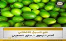 فتح السوق الأفغاني رسميا أمام صادرات الليمون الطازج المصري