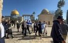حزب حماة الوطن يدين الاقتحامات المتكررة للمسجد الأقصى