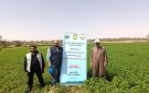 إشهار 3 جمعيات تعاونية زراعية جديدة بغرب الموهوب في الداخلة