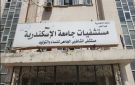 قرار عاجل من النيابة العامة بخصوص طبيبة واقعة مستشفى الشاطبي - eg
