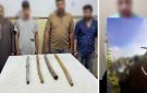 القبض على طرفي مشاجرة بالعصا في البحيرة.. وهذه عقوبتهم بالقانون