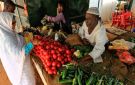 برنامج الأغذية العالمي: الاستجابة الإنسانية في السودان على شفا الانهيار ومخزونات الغذاء تنفد في يوليو