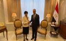 وزير الخارجية يؤكد أهمية نقل تجربة طوكيو في إدارة المدن والسياحة إلى المحافظات المصرية