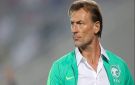 بعد خماسية السويد.. رينارد بديلا لمدرب المنتخب التونسي بعد إقالته