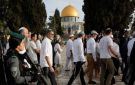 مرصد الأزهر: جماعات الهيكل جزء من إستراتيجية احتلالية للسيطرة على المسجد الأقصى