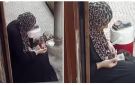 الإنسانية في أبهى صورها.. سيدة تطعم قططا رضيعة بالتنقيط