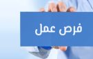 1130 دولارا مرتب الحكومة تعلن عن 48 فرصة عمل بالخارج.. شروط ورابط التقديم - eg