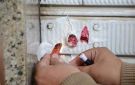 غلق وتشميع 5 محلات مخالفة خلال حملات مكثفة بأحياء الإسكندرية