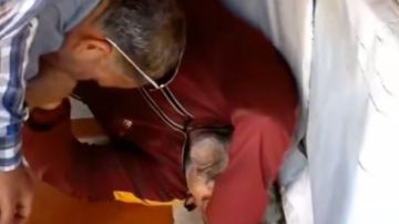 عمل نفسه ميت.. حقيقة فيديو ادعاء تاجر بالإغماء في الغربية أثناء حملة تموينية